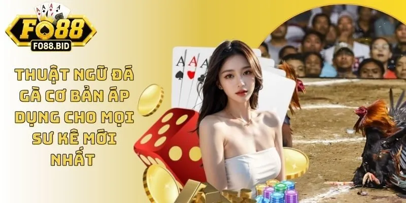 Thuật Ngữ Đá Gà Cơ Bản Áp Dụng Cho Mọi Sư Kê Mới Nhất  4 Thuật Ngữ Đá Gà Cơ Bản Áp Dụng Cho Mọi Sư Kê Mới Nhất
