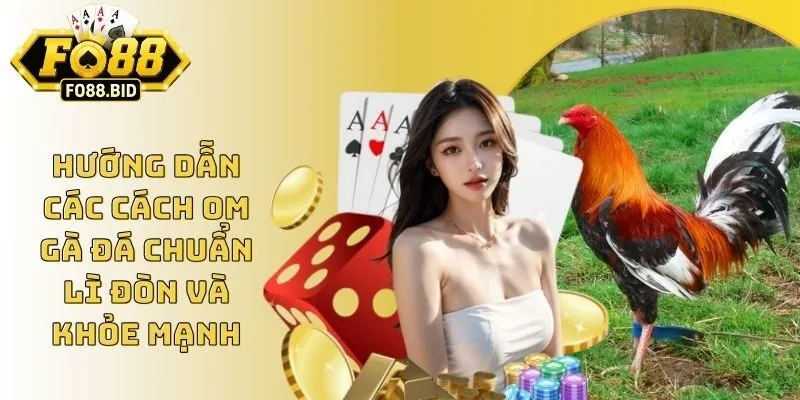 Hướng Dẫn Các Cách Om Gà Đá Chuẩn Lì Đòn Và Khỏe Mạnh 1 Hướng Dẫn Các Cách Om Gà Đá Chuẩn Lì Đòn Và Khỏe Mạnh